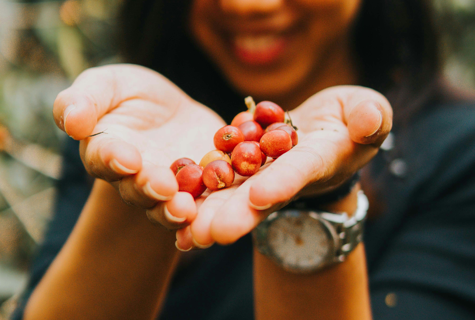 A World Tour, One Bag at a Time: Our Beans by Country