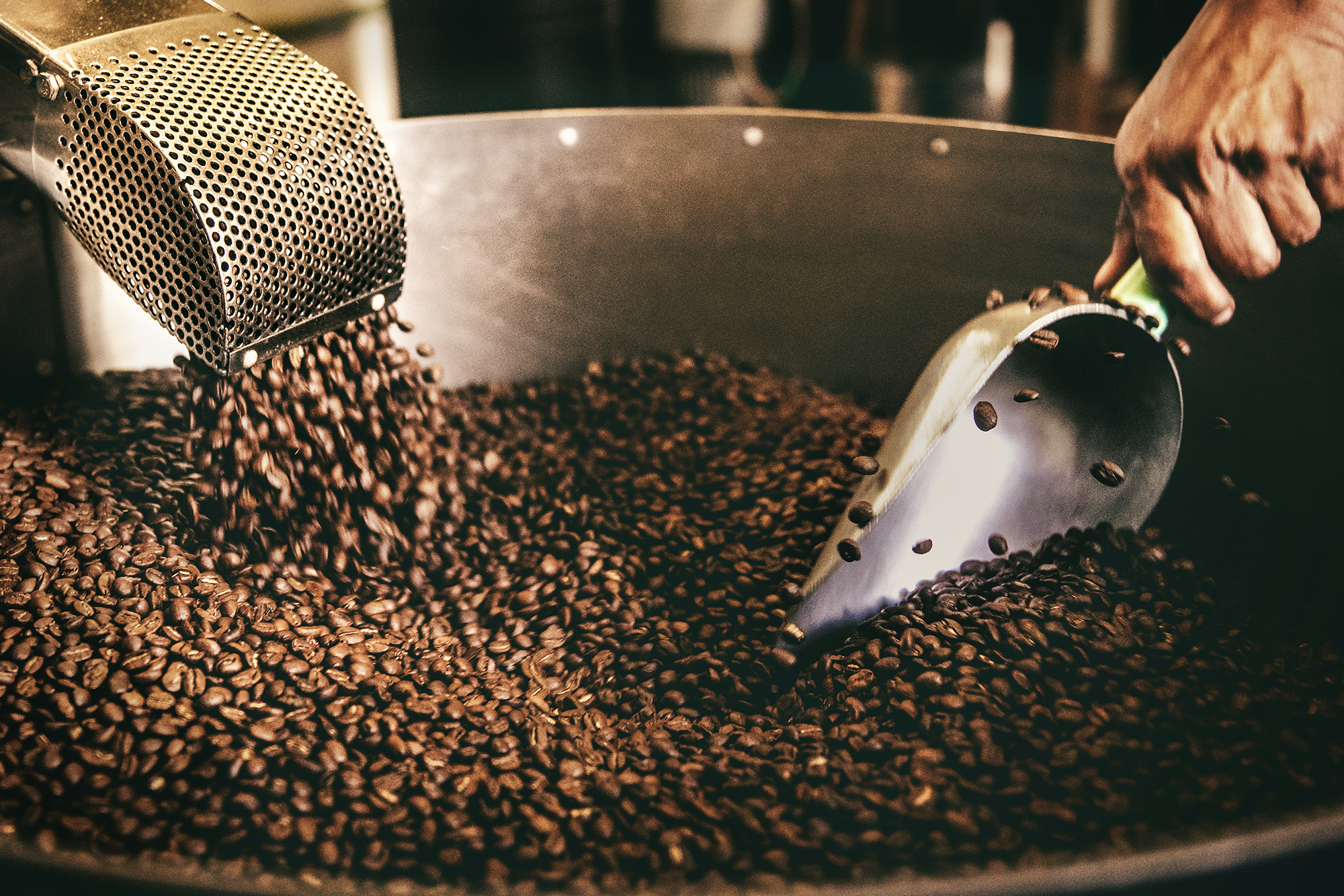 Light, Medium, or Dark, Which Cape Cod Coffee Roast Is Right for You?